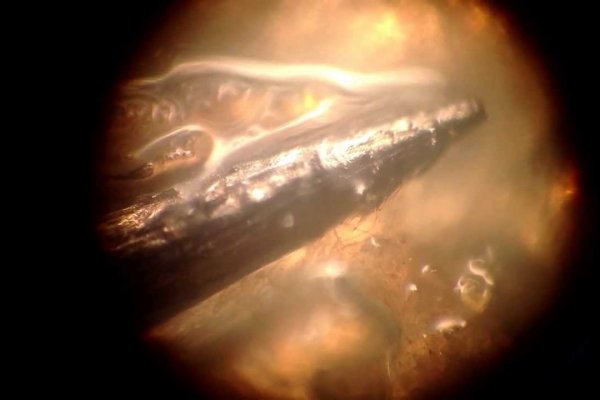 Как зайти на кракен как зайти